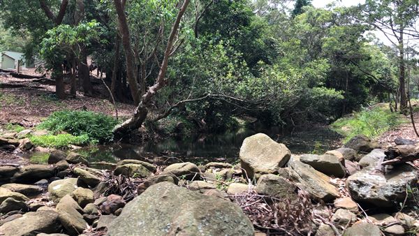 Otford Farm - The Pines Paddock with Jungle Gully (19/11/2019 - Credits: Screen NSW)