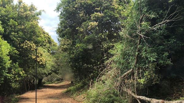 Otford Farm - The Pines Paddock with Jungle Gully (19/11/2019 - Credits: Screen NSW)