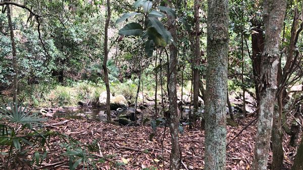 Otford Farm - The Pines Paddock with Jungle Gully (19/11/2019 - Credits: Screen NSW)