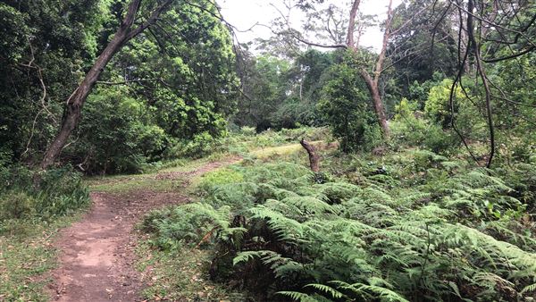 Otford Farm - The Pines Paddock with Jungle Gully (19/11/2019 - Credits: Screen NSW)