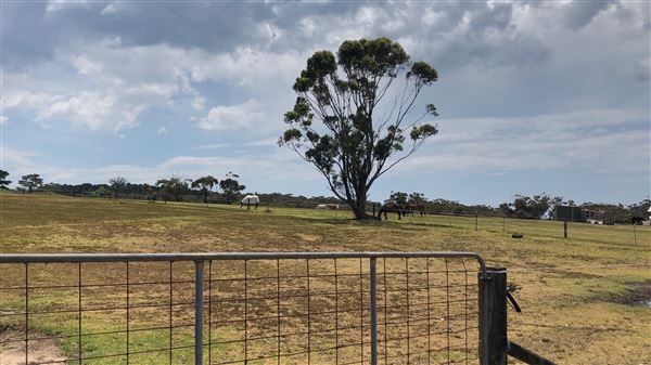 Otford Farm - Crazy T Farm (19/11/2019 - Credits: Screen NSW)