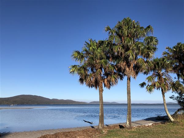 Tiona Holiday Park (22/07/2020 - Credits: Tiona Holiday Park)