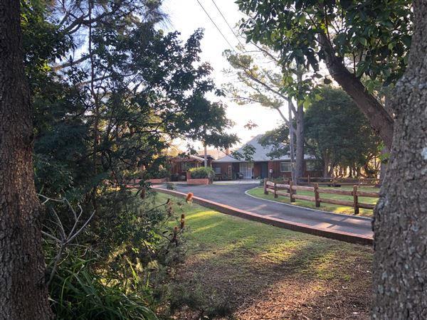 Private House Styles - Berrara (6/07/2020 - Credits: Shannon Wheeler)