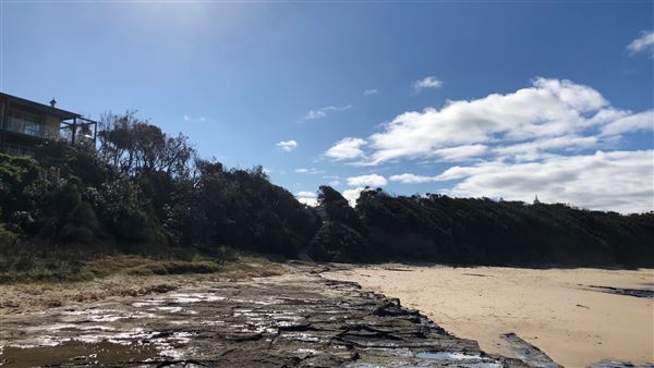 Berrara Beaches (7/07/2020 - Credits: Shannon Wheeler)