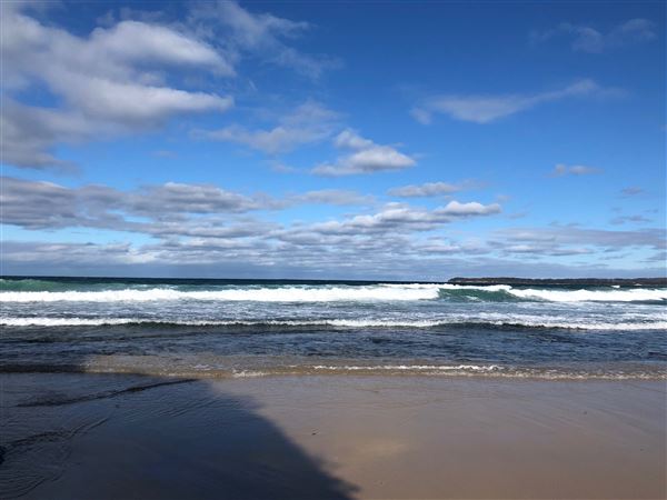 Berrara Beaches (7/07/2020 - Credits: Shannon Wheeler)