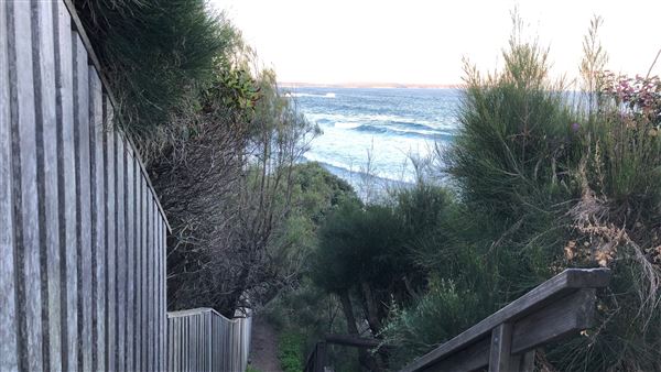 Berrara Beaches (7/07/2020 - Credits: Shannon Wheeler)