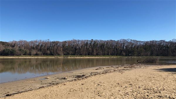 Berrara Creek - Conjola National Park (6/07/2020 - Credits: Shannon Wheeler)