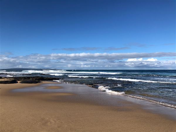 Swan Lake Inlet - Cudmirrah Beach (8/07/2020 - Credits: Shannon Wheeler)