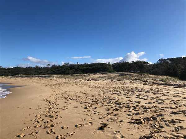 Swan Lake Inlet - Cudmirrah Beach (8/07/2020 - Credits: Shannon Wheeler)