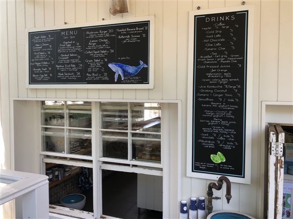 Whale Beach (20/11/2020 - Credits: Screen NSW)