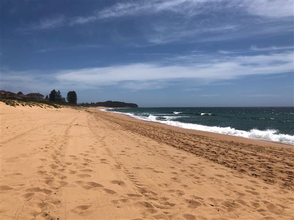 Narrabeen & North Narrabeen - Beaches & Lakes (20/11/2020 - Credits: Shannon Wheeler)
