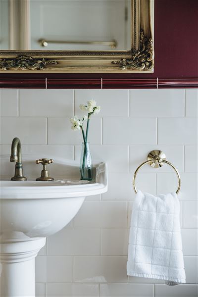 Lemon Tree Cottage - Kangaroo Valley (17/09/2020)