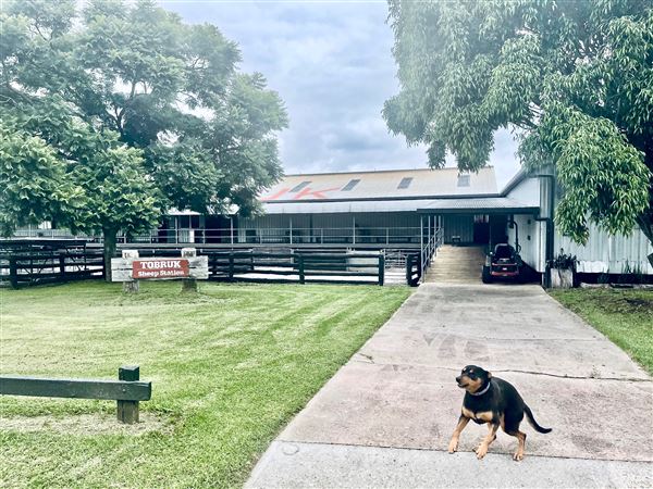 Tobruk Sheep Station - Shearing Shed & Event Venue - These photos were taken at the end of summer however, it was an unusually overcast yet bright day. (23/02/2021 - Credits: Cheryl Conway)