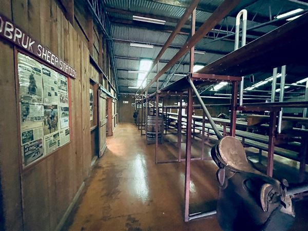 Tobruk Sheep Station - Shearing Shed & Event Venue - These photos were taken at the end of summer however, it was an unusually overcast yet bright day. (23/02/2021 - Credits: Cheryl Conway)