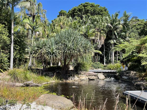 The Australian Botanic Garden Mount Annan (27/03/2021 - Credits: Screen NSW Mechele Axford)