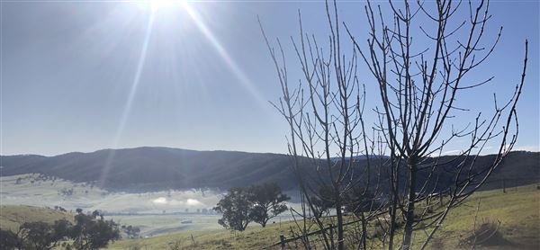 Private Property - Tumbarumba, NSW (1/06/2020 - Credits: Derek Smith)