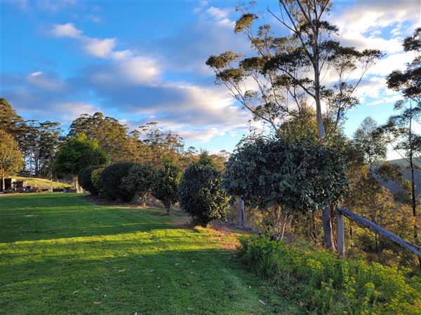 Stella Vista Farm (22/09/2021 - Credits: Tim and Georgia Connell)