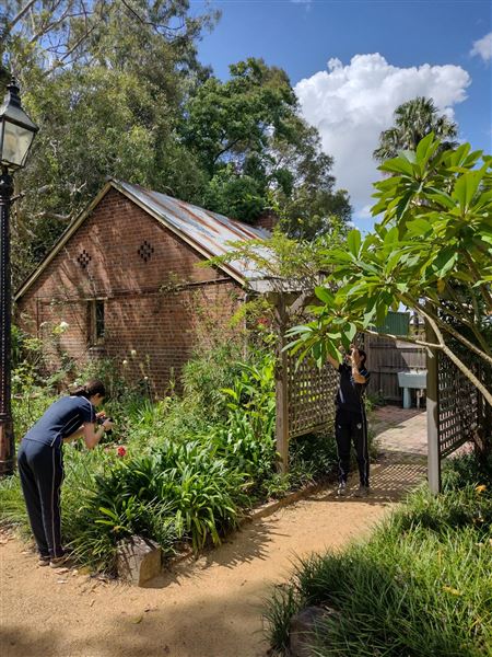 Grossmann and Brough Houses (11/07/2022 - Credits: National Trust of Australia NSW)