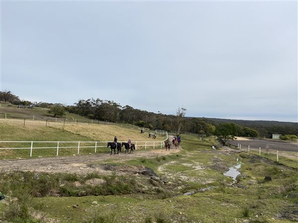 Darkes Forest Ranch (17/11/2022)