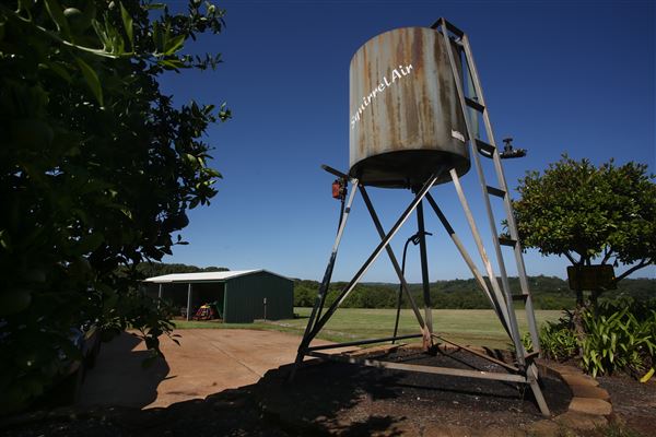 Halt Hill Macadamia Farm (21/11/2022 - Credits: submitted by: Heidi Roche)