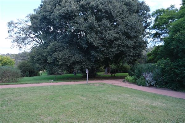 Camden Park House (12/04/2023 - Credits: Screen NSW)