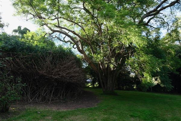 Camden Park House (12/04/2023 - Credits: Screen NSW)