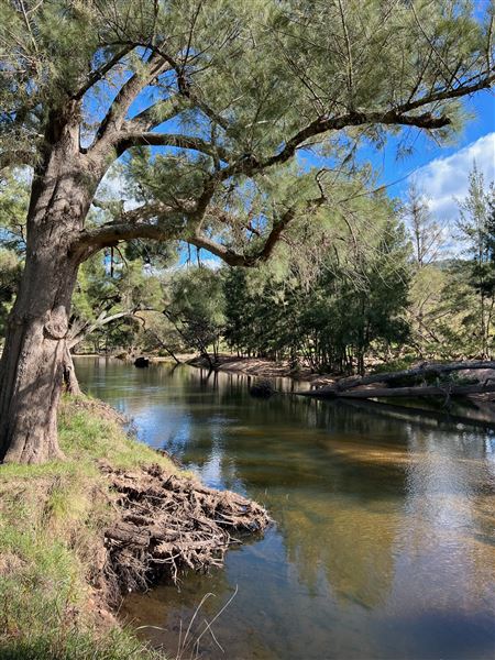 Cox's River Rest (15/05/2023 - Credits: submitted by: Kimberly Lanuza)