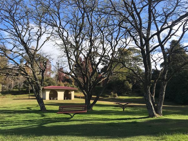 Blackheath Memorial Park (17/05/2023 - Credits: BMCC)