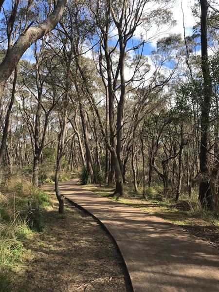 Wentworth Falls Lake (18/05/2023 - Credits: BMCC)