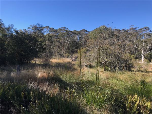 The Gully Aboriginal Place (24/05/2023 - Credits: BMCC)