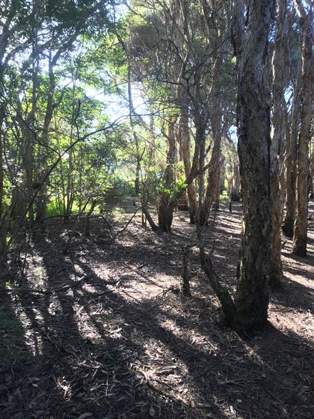 Glenbrook Lagoon (24/05/2023 - Credits: BMCC)