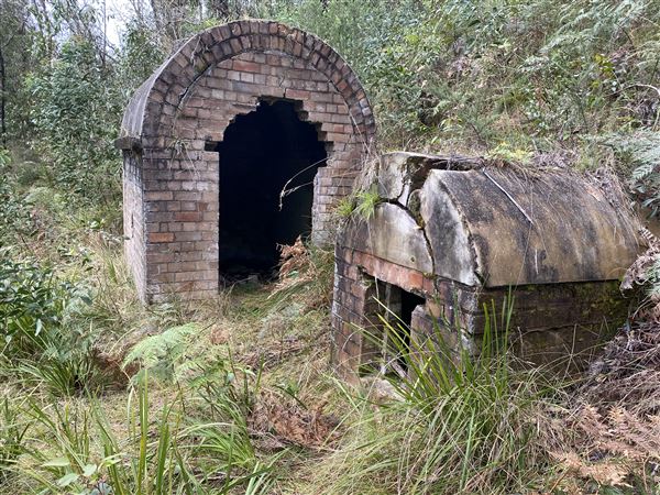 Birdsong Bower - Disused Coal Mine (1/05/2023 - Credits: Brooke Lazarevic)