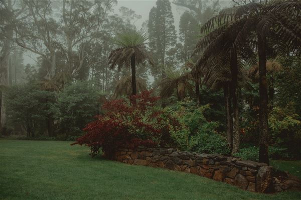 Dennarque Estate (17/07/2018 - Credits: Evan Wang)