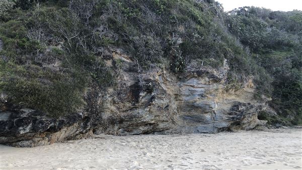Nambucca Heads (14/07/2020 - Credits: Shannon Wheeler)