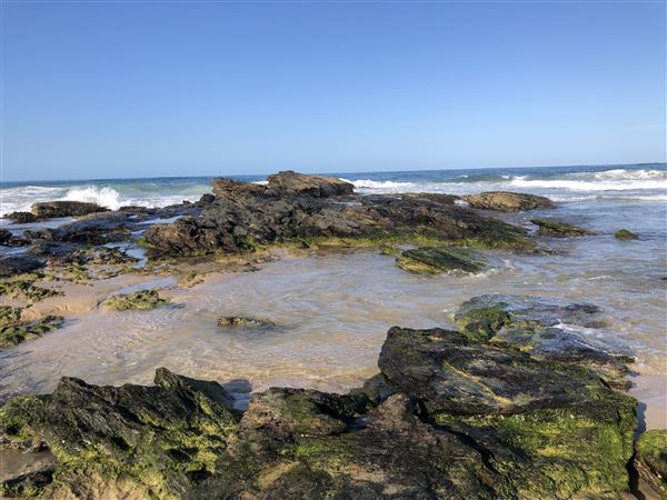 Nambucca Heads (9/10/2020 - Credits: Shannon Wheeler)