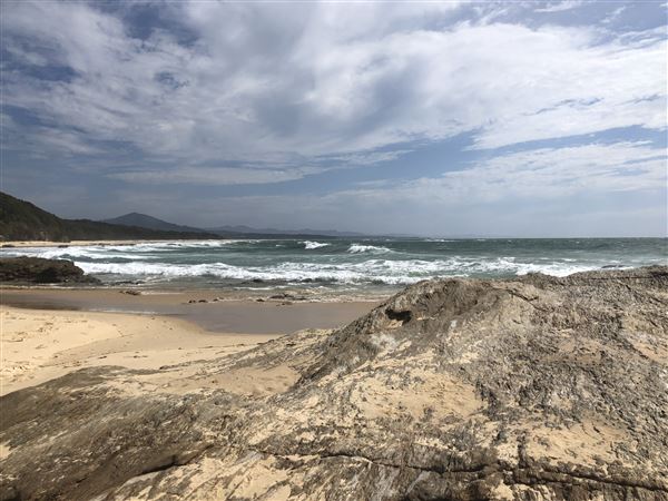 Nambucca Heads (9/10/2020 - Credits: Shannon Wheeler)