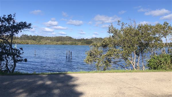 Nambucca Heads (9/10/2020 - Credits: Shannon Wheeler)