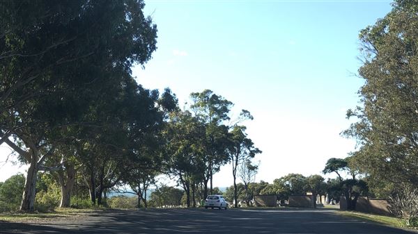 Nambucca Heads (9/10/2020 - Credits: Shannon Wheeler)