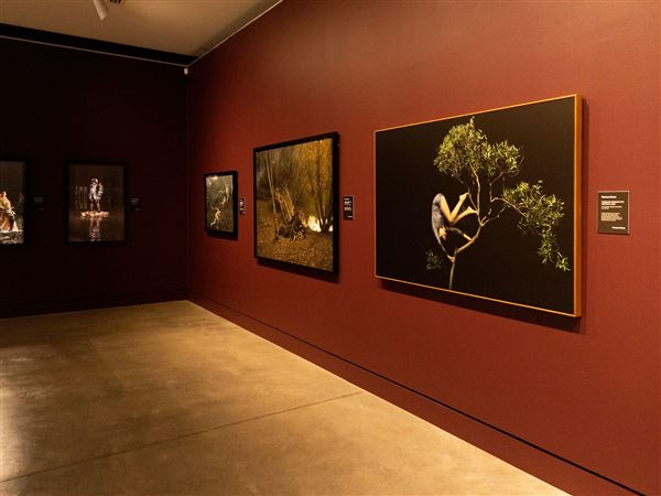 Maitland Regional Art Gallery (23/09/2020 - Credits: Maitland City Council)