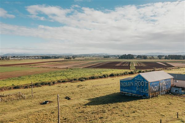 Indian Root Pills Tin Shed (28/10/2021 - Credits: Maitland City Council)