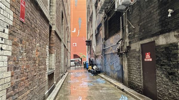 Chinatown (8/05/2024 - Credits: Shannon Wheeler)