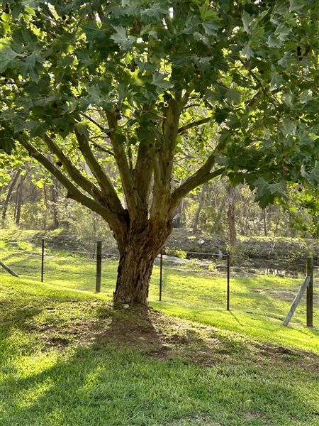 Winbourne Estate Country Bed and Breakfast (27/05/2024 - Credits: submitted by: Nicole Milatos-Hayter)