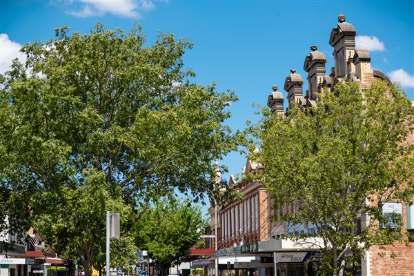 Central Maitland (8/09/2022 - Credits: Maitland City Council)