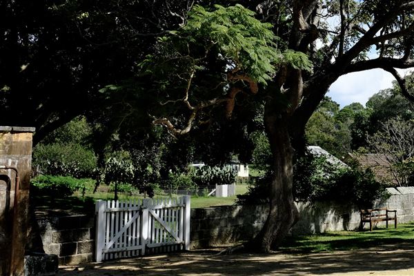 Vaucluse House (27/03/2024 - Credits: Shannon Wheeler)