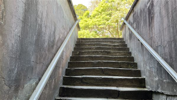 Vaucluse House (27/03/2024 - Credits: Shannon Wheeler)