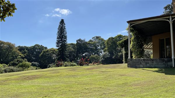 Vaucluse House (27/03/2024 - Credits: Shannon Wheeler)
