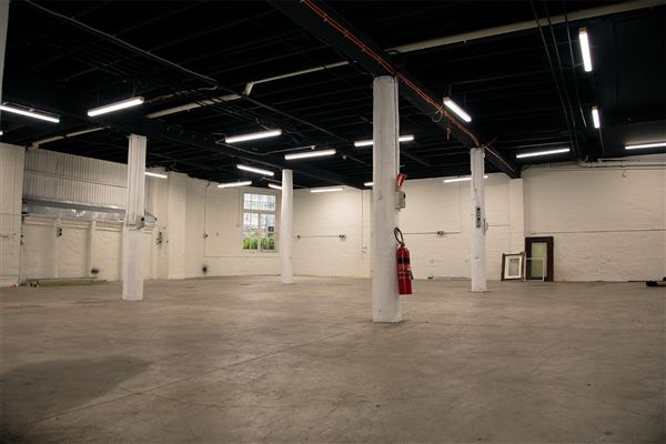 Nauti Studios' Sustainable CoWorking in Sydney (9/06/2024 - Credits: Nauti Studios)