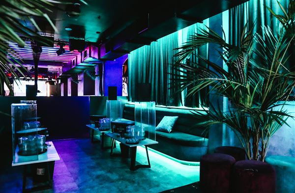 Noir Nightclub (26/02/2025 - Credits: Billie Acosta)